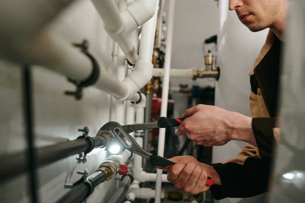 Best Clogged Drain Plumber  in Dakota City, NE